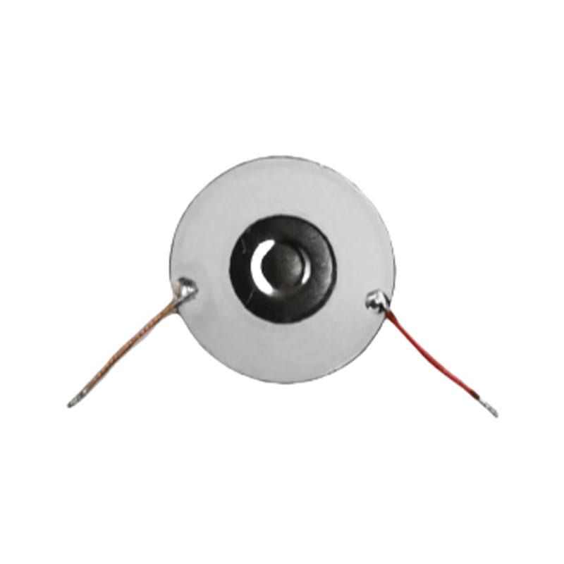 10mm Nebulizer Tablets Nasal Hugasan Espesyal na Moisturizer Mouth Spray Humidifier Nebulizer Espesyal na Spray Tablet Mababang Konsumo ng Kumpanya Hindi kinakalawang na Steel Micro Mesh Nebulizer Disk