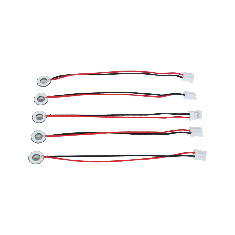 Mga Miniaturized Products φ8mm Inhalable Medical Mesh Misting Tray Maliit na Halaga ng Atomization Humidification Sa Misting Tray Scented Misting Tray