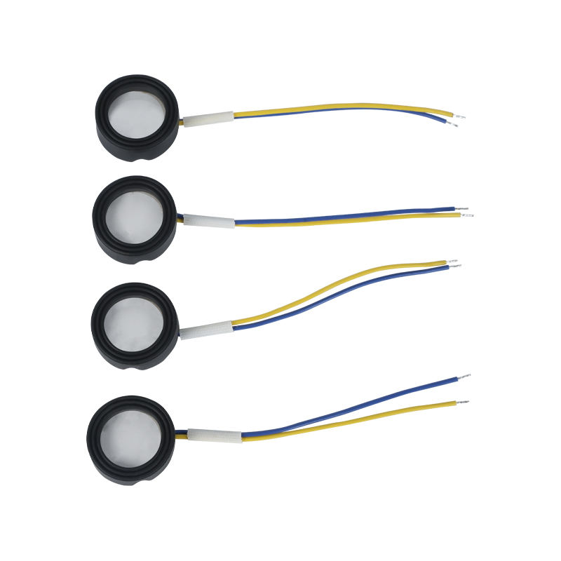 25mm1.7MHz ultrasonic high-frequency atomization footbath wigwam cloud mist landscaping malaking halaga ng atomization piezoelectric ceramic transducer oscillating atomizer mataas na kapangyarihan 220v36w