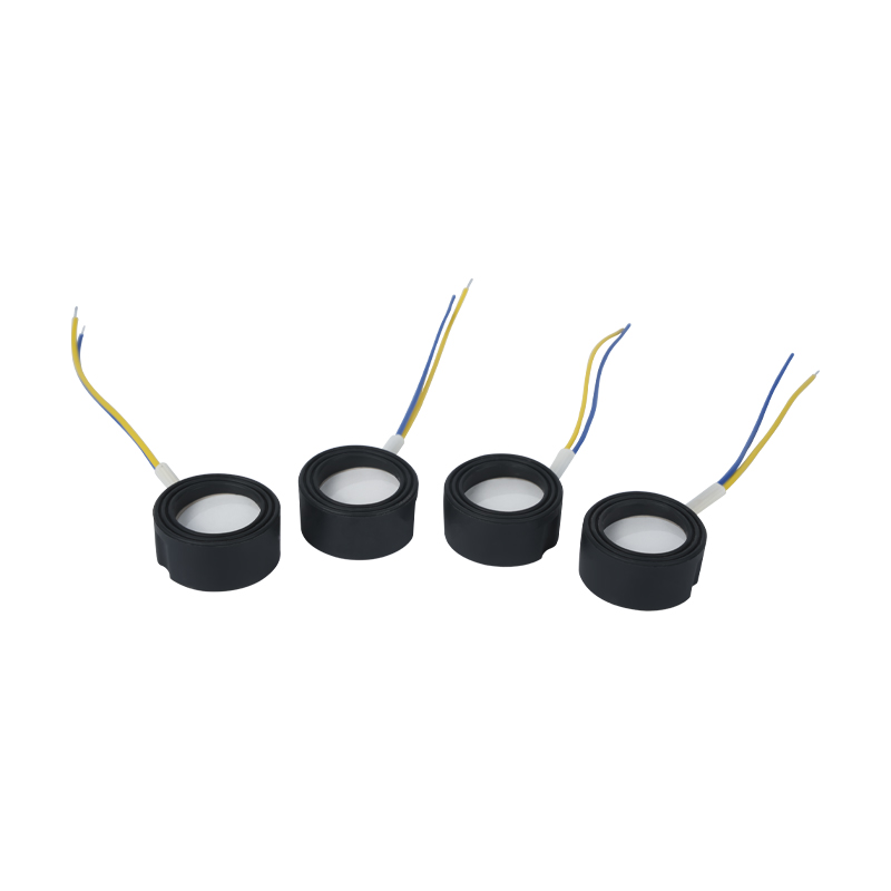 25mm1.7MHz ultrasonic high-frequency atomization footbath wigwam cloud mist landscaping malaking halaga ng atomization piezoelectric ceramic transducer oscillating atomizer mataas na kapangyarihan 220v36w