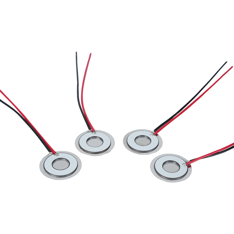 Φ20 Atomizing Disk Frequency 111KHz304 Hindi kinakalawang na Steel Micro Mesh Atomizing Disk Mesh Atomizing Sheet Air Conditioner Chiller Refrigerator Sariwang Humidification Mesh Atomizing Disperser Sheet Atomization Rate> 800ml/H